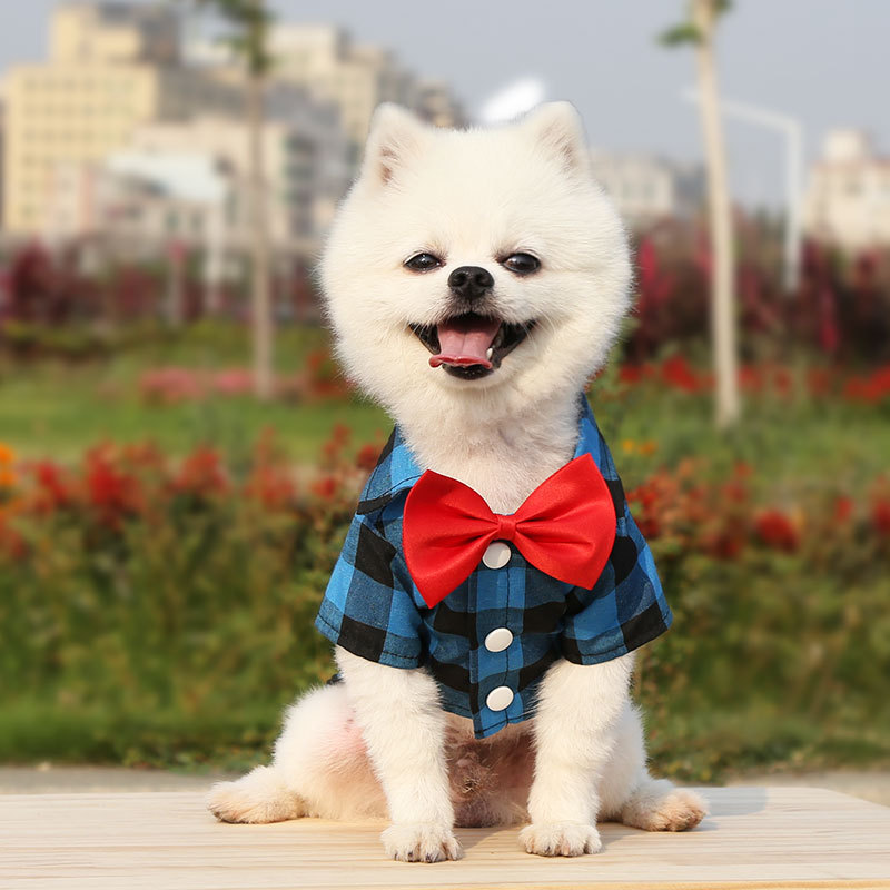 春夏秋犬シャツスーツウェディングドレステディベアペット服用品小中大型犬猫|undefined