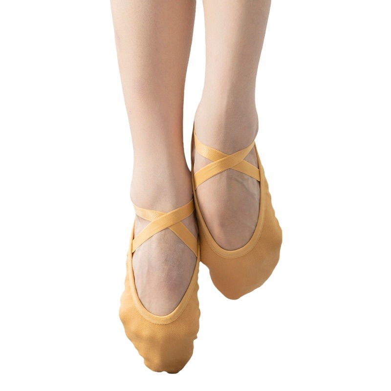 Wuyuan 068 micro-elastic cloth dance shoes new soft-soled exercise shoes professional camel ballet Chinese dance shoes
