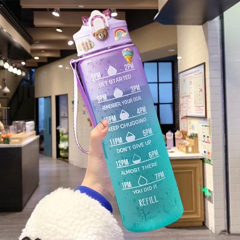 TEMU Change Printing 750 MLines Frosted Gradient Water Cup Drinking Tips Gift Gradient Portable Straw Cup