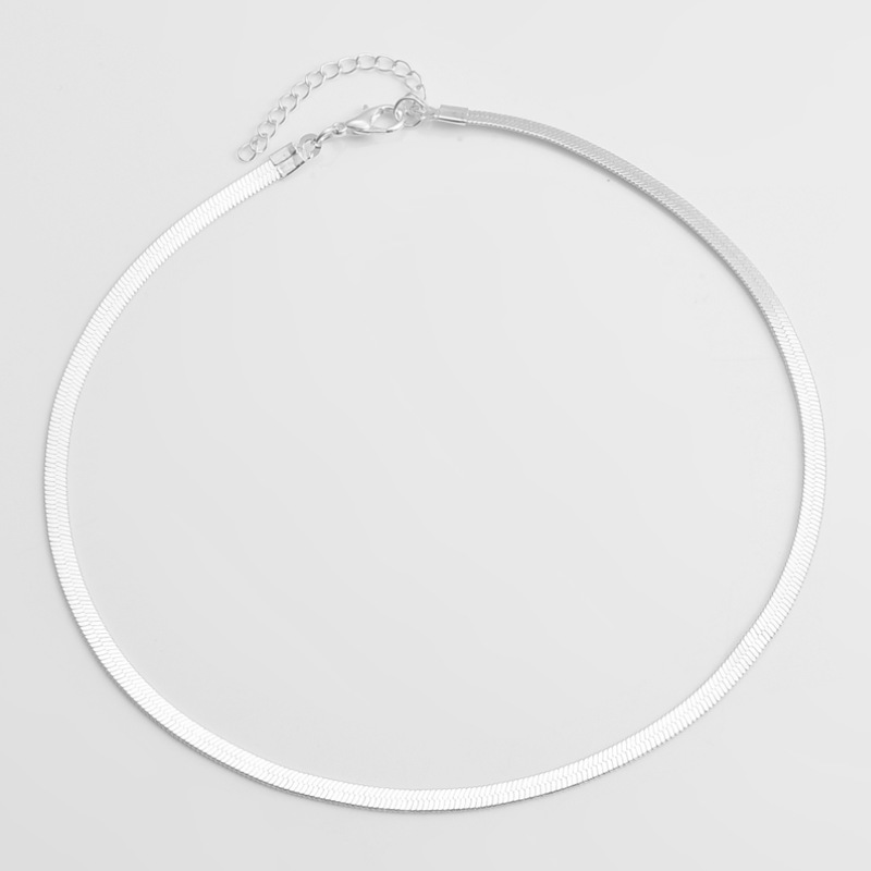 European and American cross-border jewelry fashion short blade chain wholesale Women's simple metal flat chain snake bone chain necklace