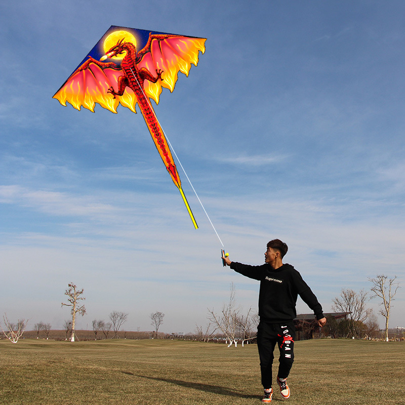 Dinosaur kite big kite foreign best-selling children's kite adult easy to fly kite wholesale Weifang new kite