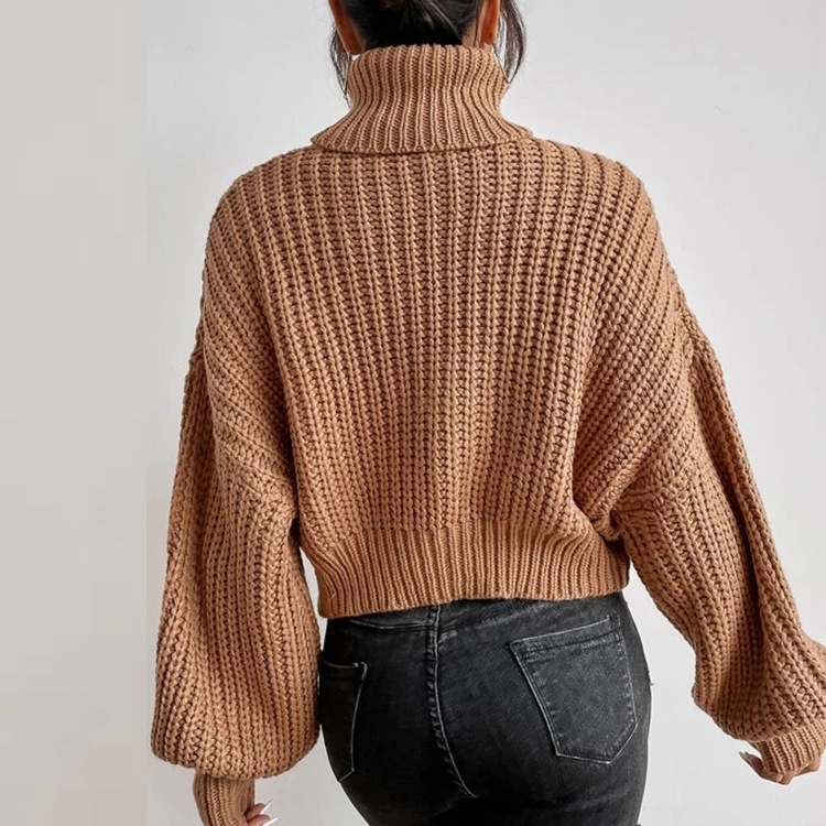 Pull à col roulé en tricot ample à manches longues pour femme, nouvelle mode automne et hiver, commerce extérieur transfrontalier_voghion.com