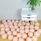 5-inch macaron Orange (200 PCs/bag)