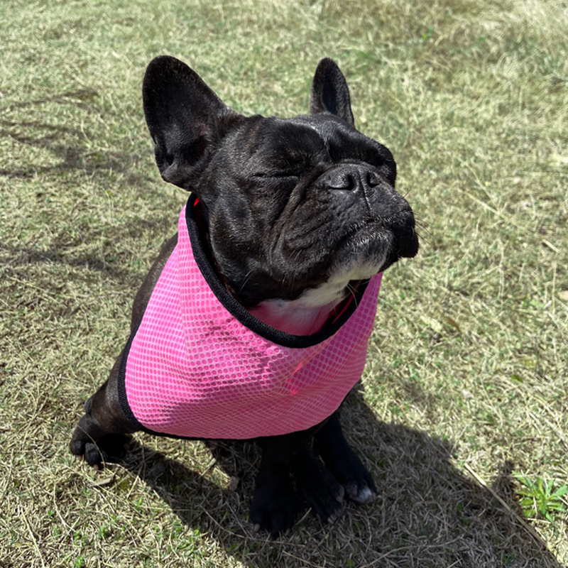 Amazon pet cold scarf triangle towel cooling dog method bucket breathable cold towel pva summer can be set