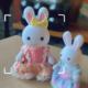 New big rabbit (clothes random)