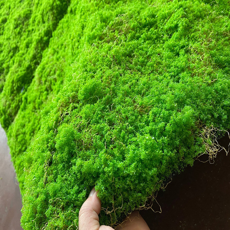 偽のコケのシミュレーションの苔の草の皮の芝生の造景の盆栽の人工diyは生の小さい景観の緑をまねて装飾を植えます。|undefined