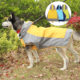 Pet it Casual Outdoor Dog Charge Clothes Waterproof Universal Pet Raincoat Large Dog Golden Retriever Amazon Dog Clothes