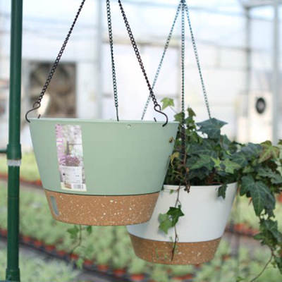 Universal Anthony hanging orchid flower pot hanging hanging basket flower pot green radish Ivy household hanging Basin