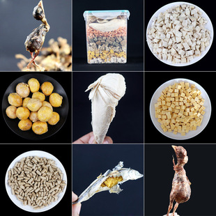 Freeze dried pet snacks manufacturers dog snacks wholesale chicken quail spring fish dry bulk freeze dried cat snacks