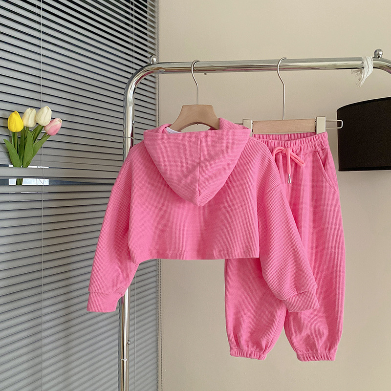 Foreign Trade Girls' Suit Spring and Autumn New Children's Long-sleeved Hooded Sweater Casual Pants Trendy Three-piece Suit