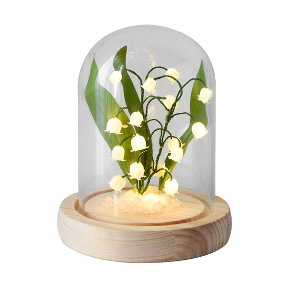 Suzuki Orchid Night Light Decoration Handmade diy Material Bag Decoration Glass Garden Bedroom Ornaments Birthday Gift