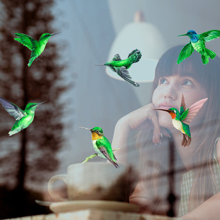JD001-009 Amazon Birds Anti-Birds Предупреждающая наклейка 3D Электростатическая наклейка Стеклянная наклейка Без клея Пленка ПВХ Наклейка на окно