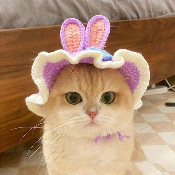 Pet Headgear Cat and Dog Knitted Hat cospaly Props Headdress Funny Transformation Clothing 
