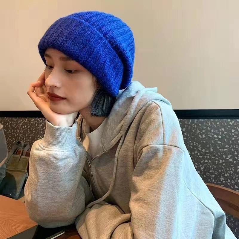 Thick needle South Korea wool pile hat women's autumn and winter versatile knitted hat warm ear protection loose hat cold hat wholesale