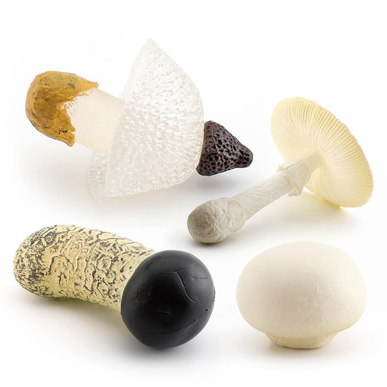 Cross-border Simulation Fungus Mushroom Model Lentinus edodes White Poisonous Amanita Mushroom Real Agaricus Matsutake Double Pleurotus edodes Poisonous Rope Umbrella Decoration