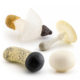 Cross-border Simulation Fungus Mushroom Model Lentinus edodes White Poisonous Amanita Mushroom Real Agaricus Matsutake Double Pleurotus edodes Poisonous Rope Umbrella Decoration