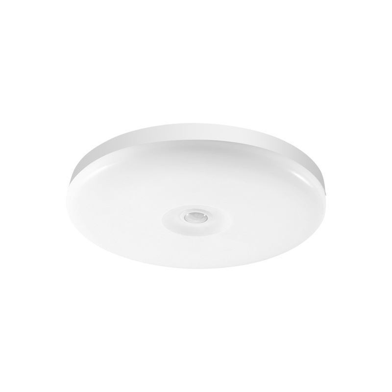 Led induction ceiling light voice control intelligent induction light stair aisle light human body radar induction ceiling light wholesale