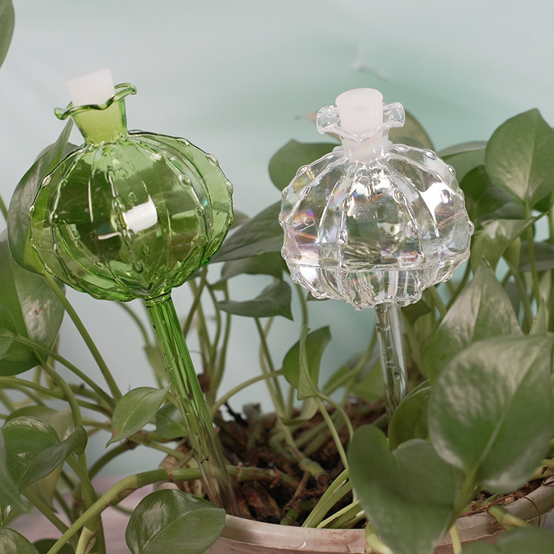 Cactus ball watering device lazy watering flower growing water seepage drip irrigation household green plant bonsai automatic watering device