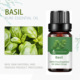 Single side: Basil Basil 10ml