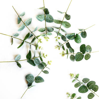 Single eucalyptus flower simulation simulation lysimachia plant wedding wedding home diy flower arrangement decoration ornaments