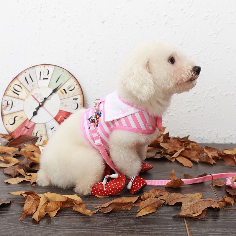 Pet Supplies Teddy Poodle Rope Leash Leash Dog Chain Small and Medium Dog Pet Chest Strap