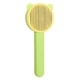 Green (Bear)