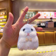 Plush Blue Hamster