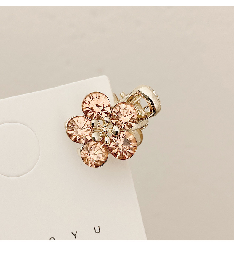 Small Bangs Grab Clip 2022 New Crystal Flower Side Hairpin Korean Internet Celebrity Mini Elegant Grab Hair Accessories_voghion.com