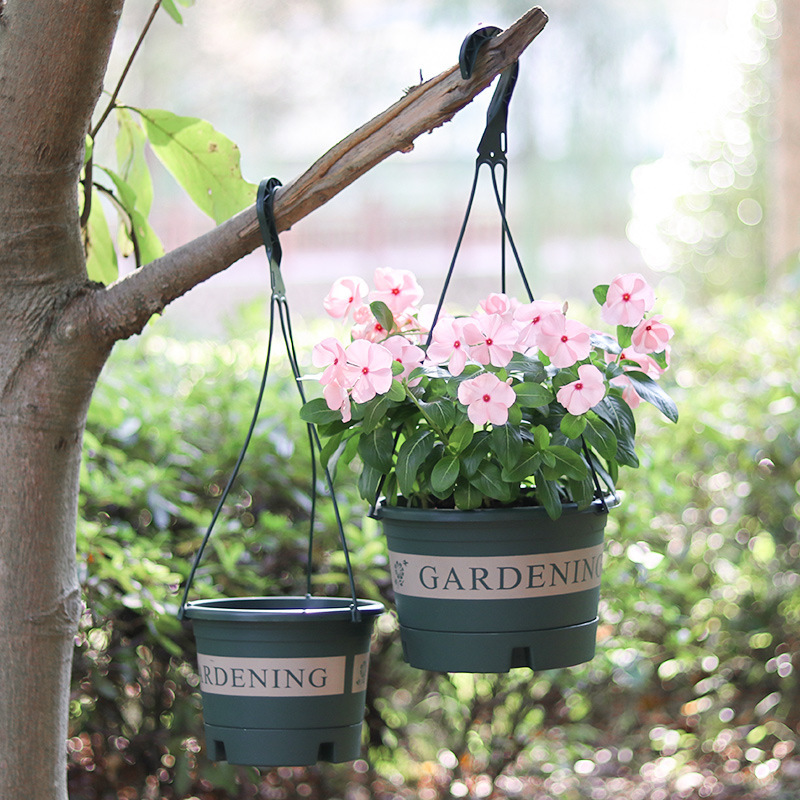 Amazon gallon flower pot hanging pot hanging basket hanging orchid hanging pot flower pot hanging resin Green rose hanging basket wholesale