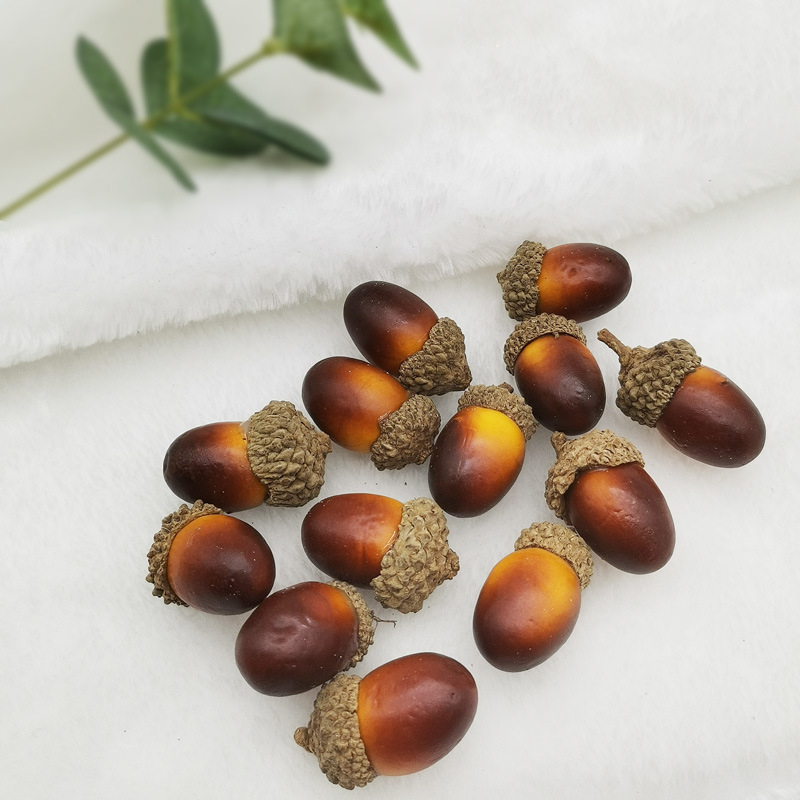 Dried flower material natural Acorn Acorn kindergarten DIY handmade material accessories shooting props simulation nuts