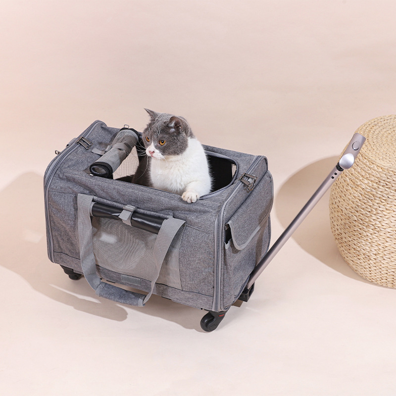 New Outgoing Cat Bag Pull Rod Dog Pet Bag Foldable Cat Pet Box Breathable Crossbody Pet Trolley Case