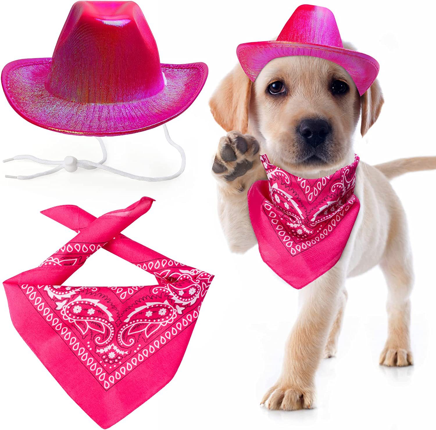 Pet Neon Shiny Space Cowboy Hat Clothing Suit Dog Cat Fantasy Cowboy Hat Western Cowboy Accessories