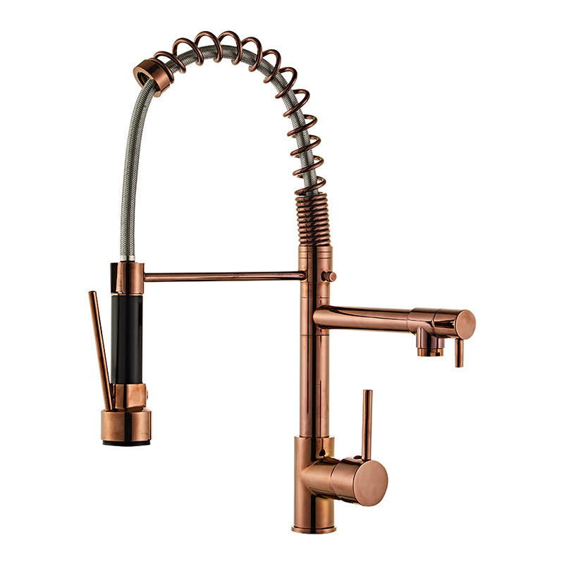 Cross-Border spring kitchen faucet pull-out type double water outlet cold and hot sink vegetable basin rotating rose gold faucet