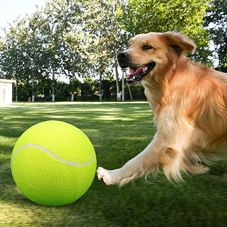 9.5 inch tennis 24cm inflatable tennis pet toy ball training ball ten times happy ball manufacturers wholesale