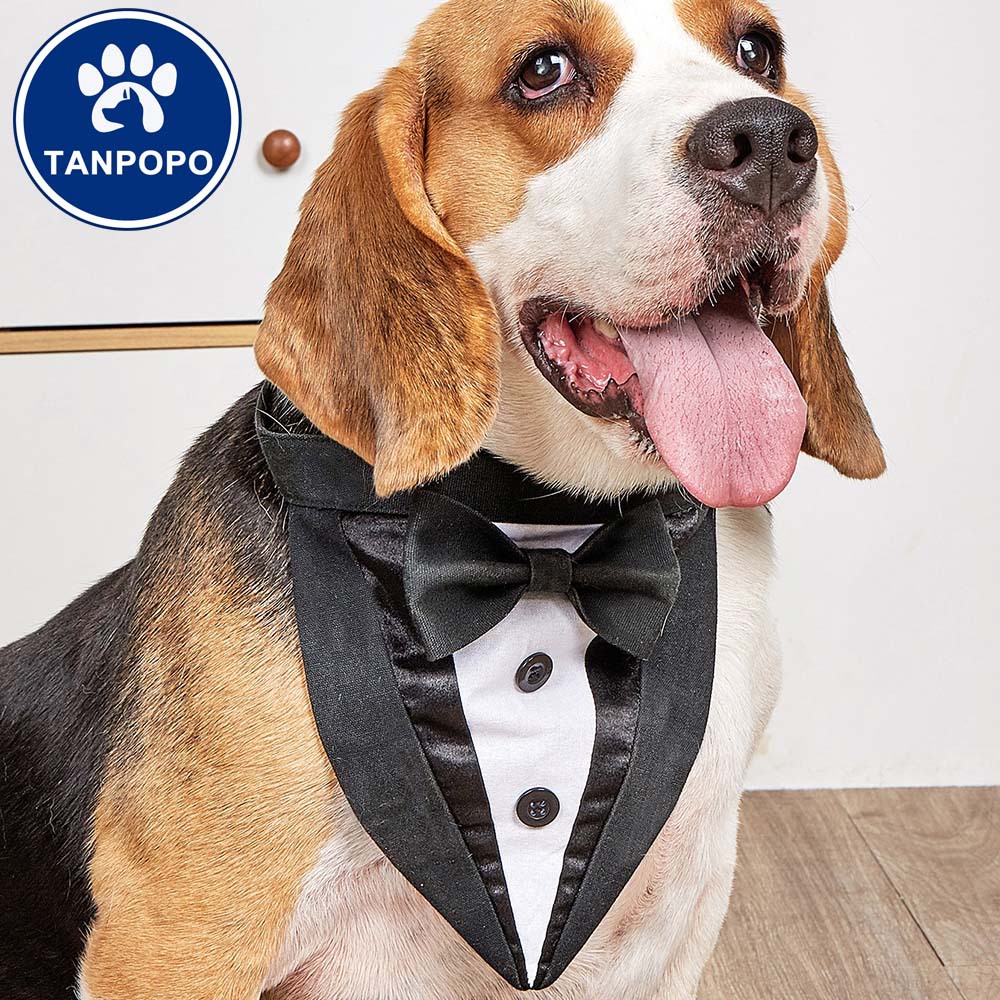 Tanpopo new suit triangle towel pet scarf dog towel dog saliva towel accessories pet triangle towel