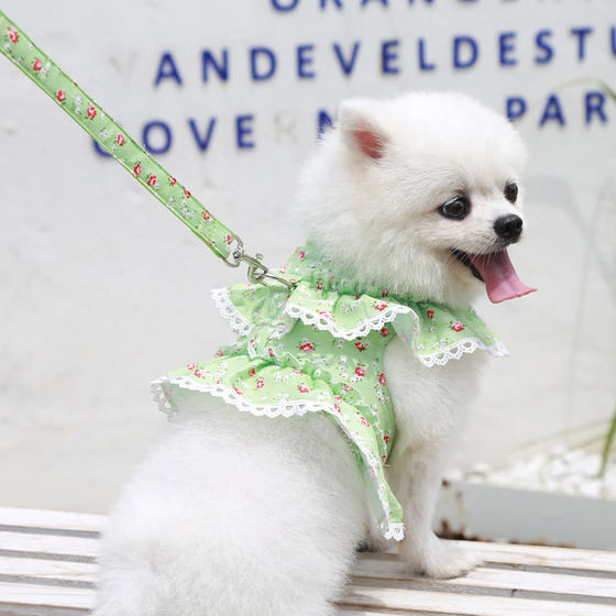 Dog Cat Pet Clothes Chest Strap Traction Lace Teddy Bear Spring Summer Autumn Dog Walking Rope Supplies