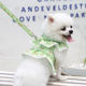 Dog Cat Pet Clothes Chest Strap Traction Lace Teddy Bear Spring Summer Autumn Dog Walking Rope Supplies
