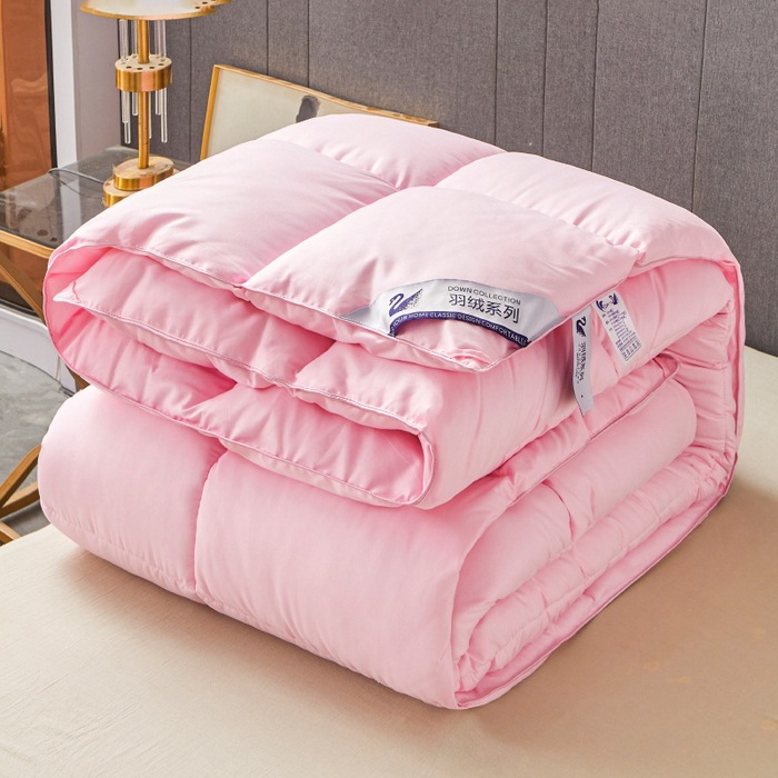 Hotel quilt feather velvet quilt autumn and winter quilt thickened warm feather silk quilt core group purchase gift wholesale generation