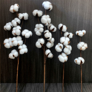 Handmade immortal cotton dried flower simulation single multi-head cotton bouquet living room decoration flower arrangement shooting props