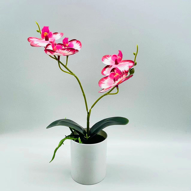 Simulation Potted Plant Simulation Phalaenopsis 3D Printing Film Two Forks Five Flowers Phalaenopsis Bonsai Artificial Artificial Flower Potted Plant
