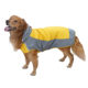 Pet it Casual Outdoor Dog Charge Clothes Waterproof Universal Pet Raincoat Large Dog Golden Retriever Amazon Dog Clothes