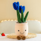 other product image