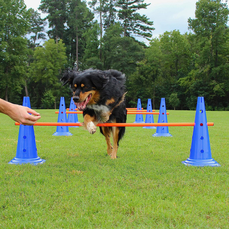 犬の敏捷性トレーニング機器障害物ジャンプスティックコーンバレルコンビネーションクロストレーニング犬のおもちゃペット用品|undefined