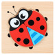 XJY Ladybug