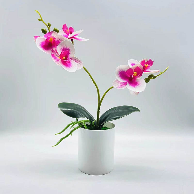 Simulation Potted Plant Simulation Phalaenopsis 3D Printing Film Two Forks Five Flowers Phalaenopsis Bonsai Artificial Artificial Flower Potted Plant