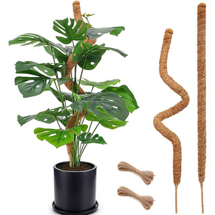 Bendable Deformed Coconut Palm Stick Plant Climbing Hemp Rope Bottom Garden Climbing Vine Stand Bendable Shaped Moss Pole