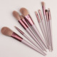 Butterfly with 10 sets of brush (pink)