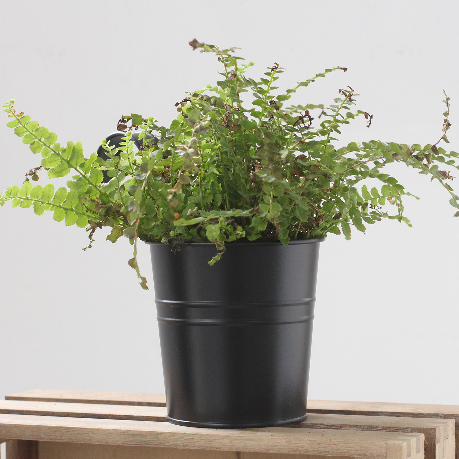 Cross-border Amazon ins Simple Black and Old Tin Flower Bucket Flower Bucket with Removable Hook Decorative Flower Flower Bucket