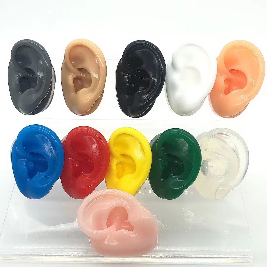 Simulation silicone ear model ear picking teaching headset hearing aid display stand practice acupuncture model jewelry display