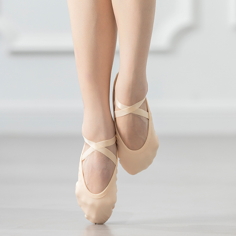 Wuyuan 068 micro-elastic cloth dance shoes new soft-soled exercise shoes professional camel ballet Chinese dance shoes